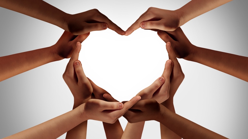 Multiple hands of different skin tones forming a heart shape